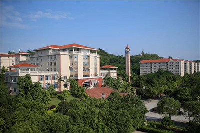 重慶教育資訊 軟件開發(fā)專業(yè)人才培養(yǎng)與產(chǎn)業(yè)發(fā)展動(dòng)態(tài)